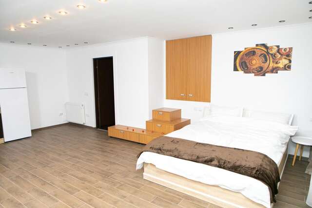 Виллы Vila Elisabeta Брашов-36