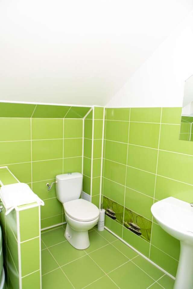 Виллы Vila Elisabeta Брашов-7